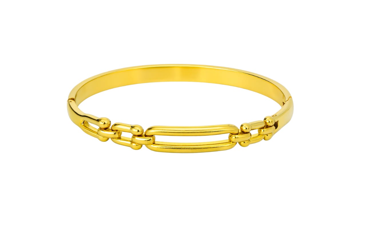 Link Charm Bangle